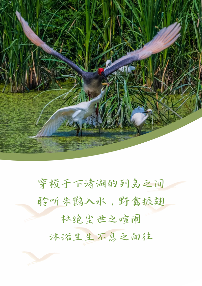 心心念廿 相伴918搏天堂 | 与德清相约 贺廿载诞辰